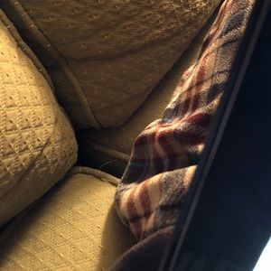 Meet your Posher, Andrew