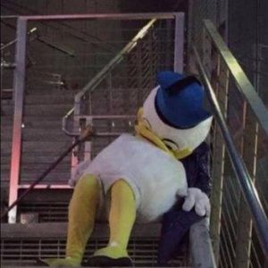 Meet your Posher, Roland