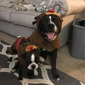 Meet your Posher, Hailey