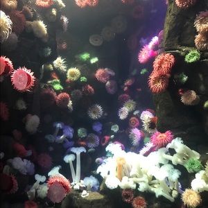 Meet your Posher, Alejandra