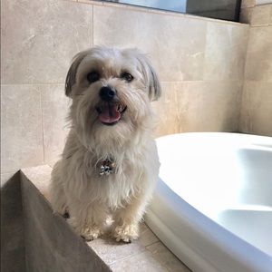 Meet your Posher, Nhi