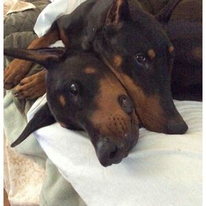 Meet your Posher, April