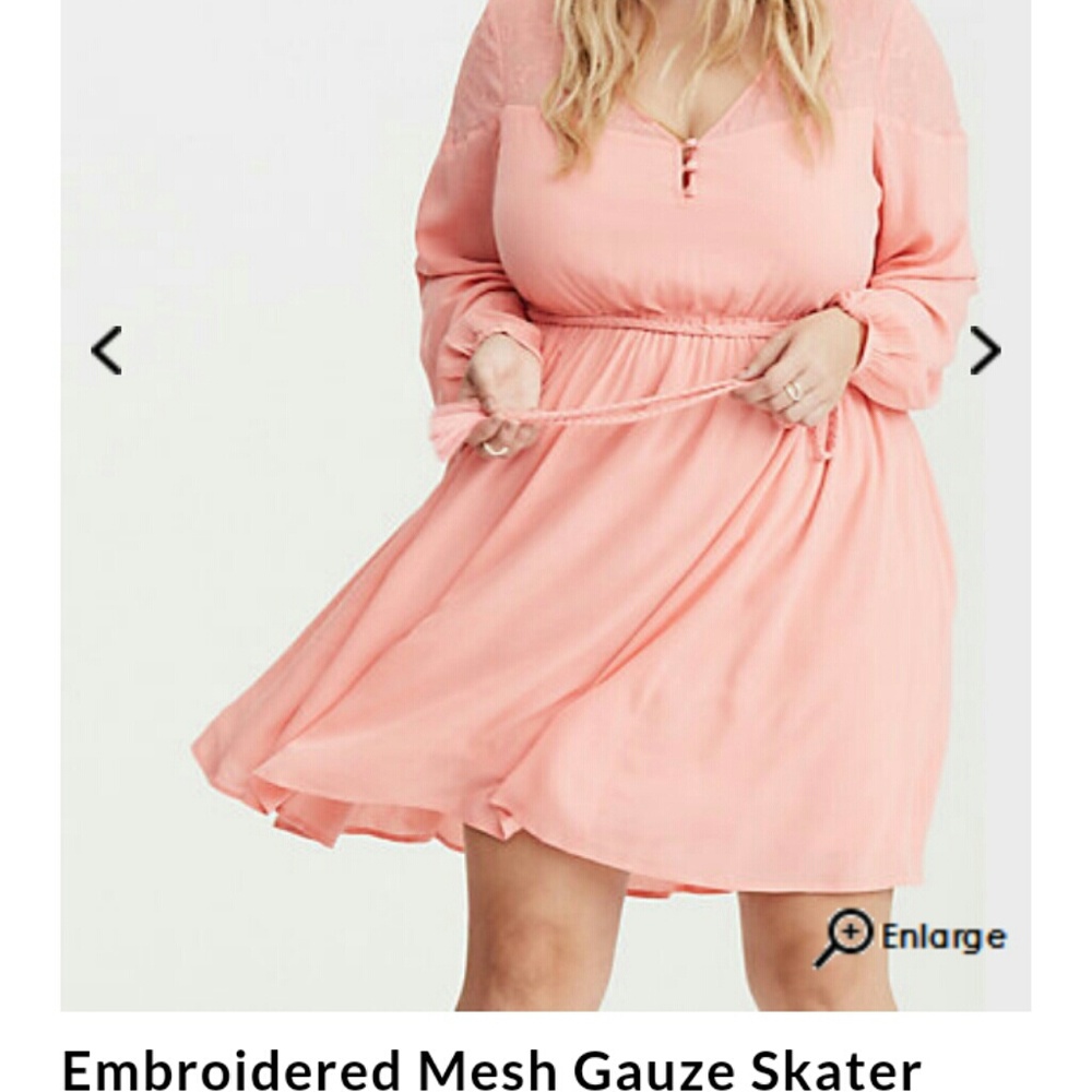 Embroidered mesh gauze skater dress