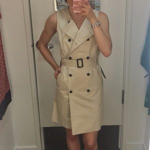 Limited Trench Dress