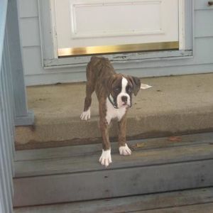 Meet your Posher, Thomas