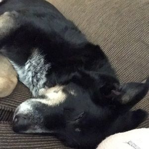 Meet your Posher, Brian