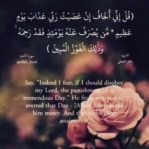 Meet your Posher, Nervana