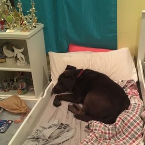 Meet your Posher, Fiona