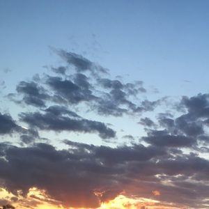 Meet your Posher, Nia