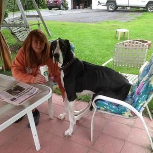 Meet your Posher, Kim