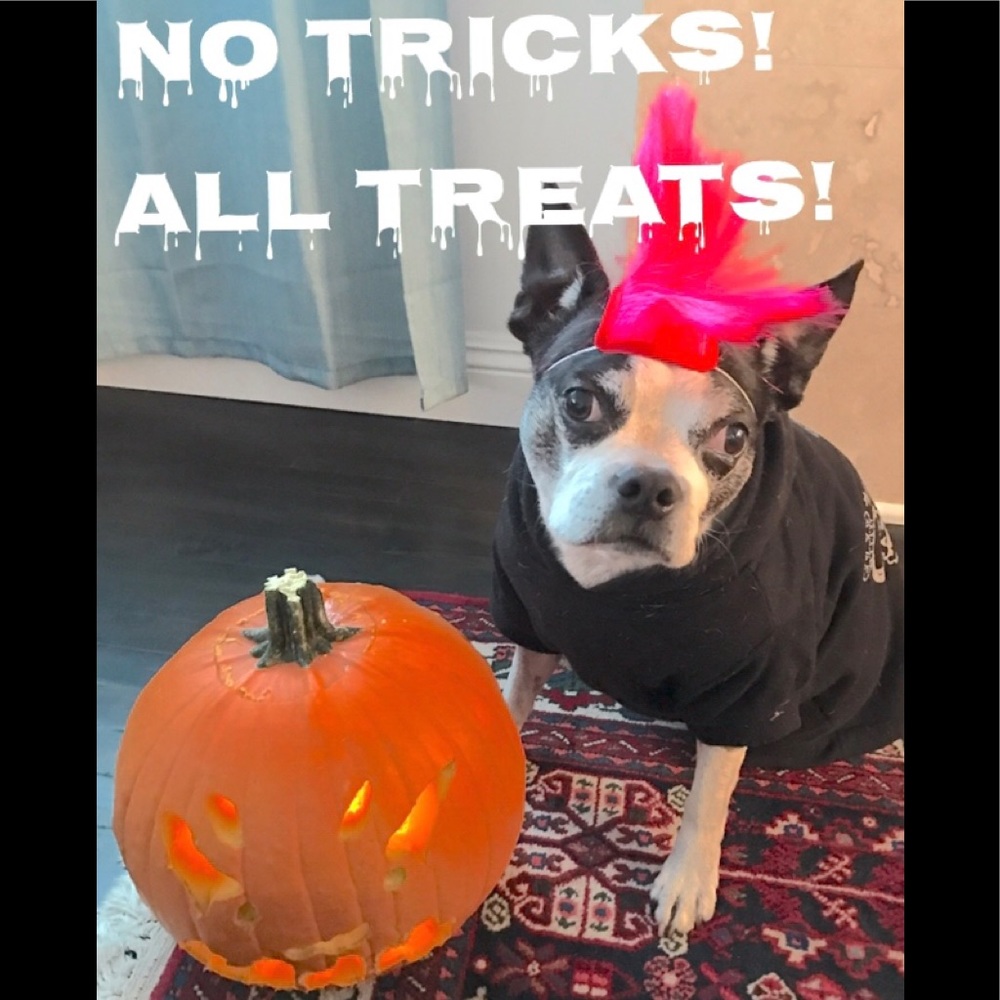 ๐Trick-or-treat in my Closet ๐ - Picture 1 of 1
