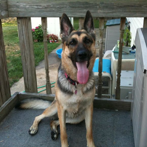 Meet your Posher, Pamela - Picture 1 of 1