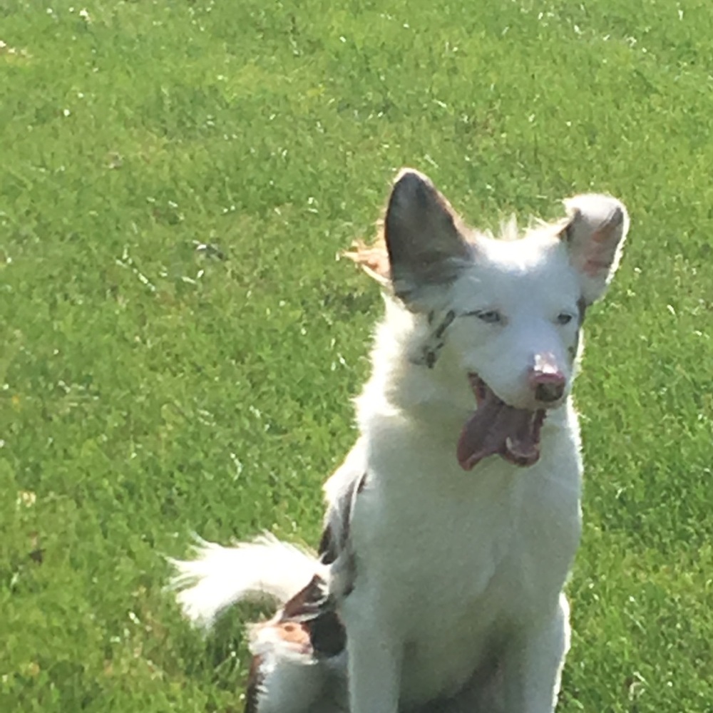 Meet your Posher, Cloe