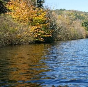 Meet your Posher, Camden