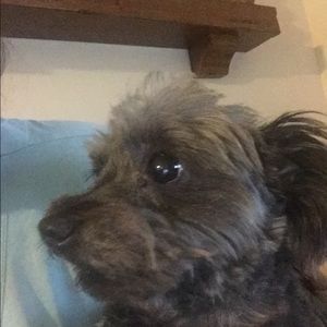 Meet your Posher, Tracie