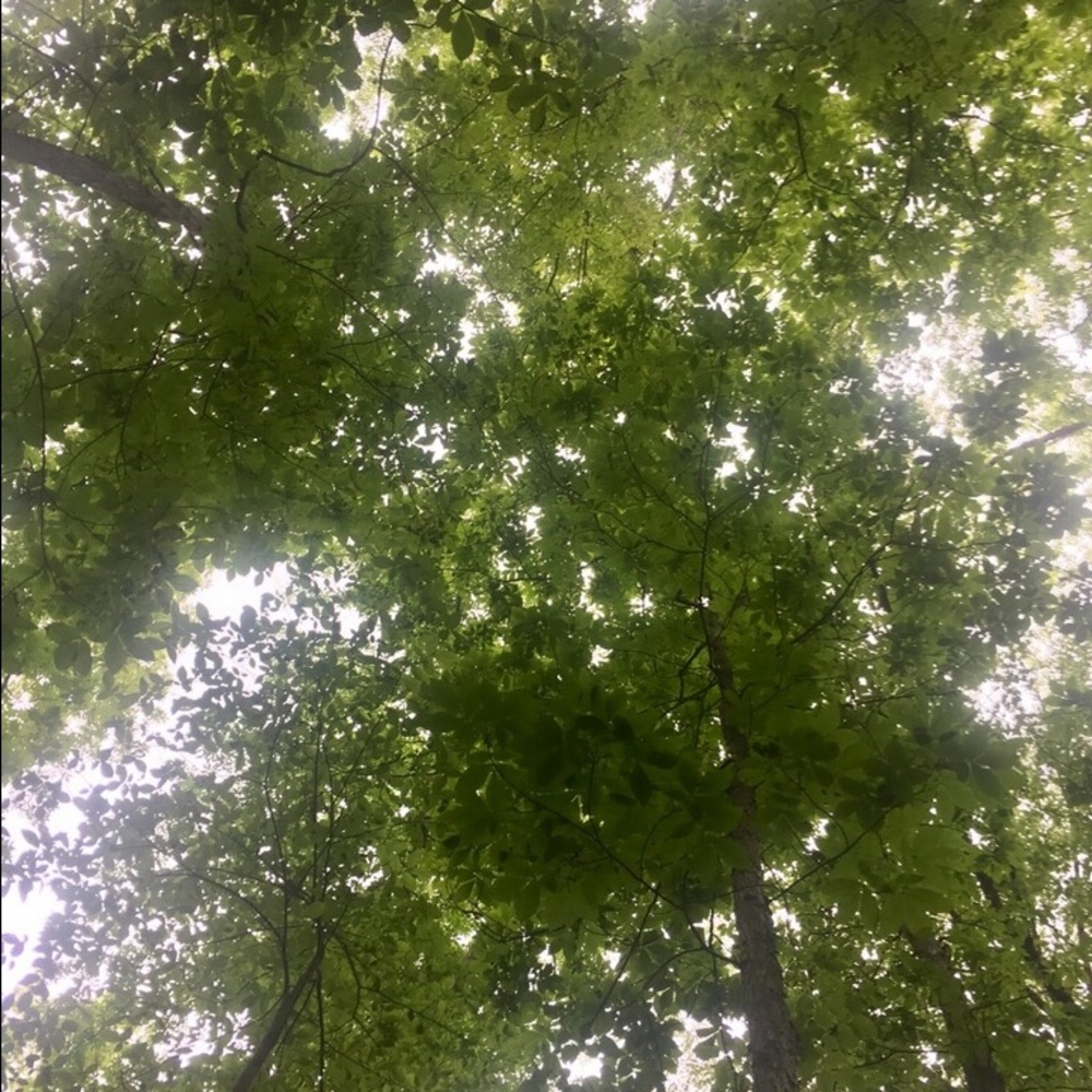 Meet your Posher, Robin