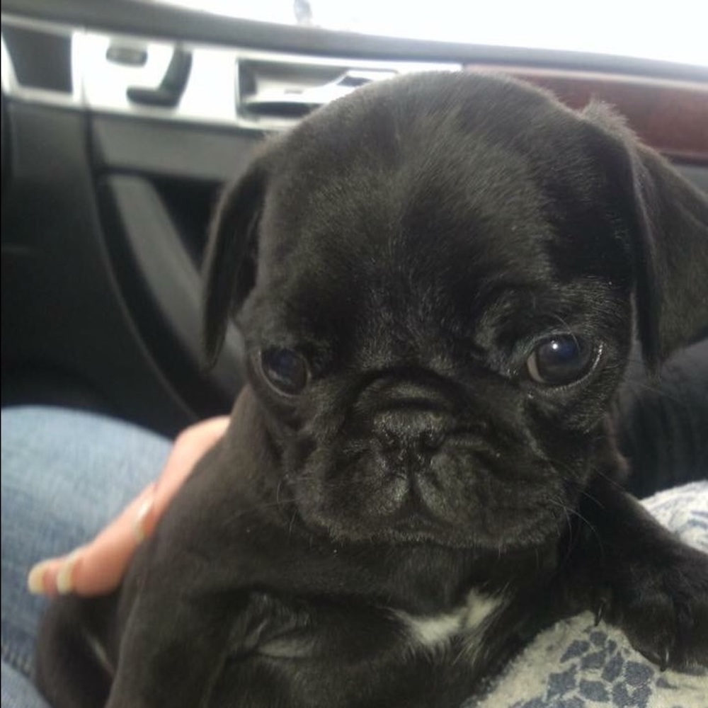 Meet your Posher, Jessica