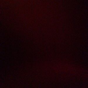 Meet your Posher, Dominick