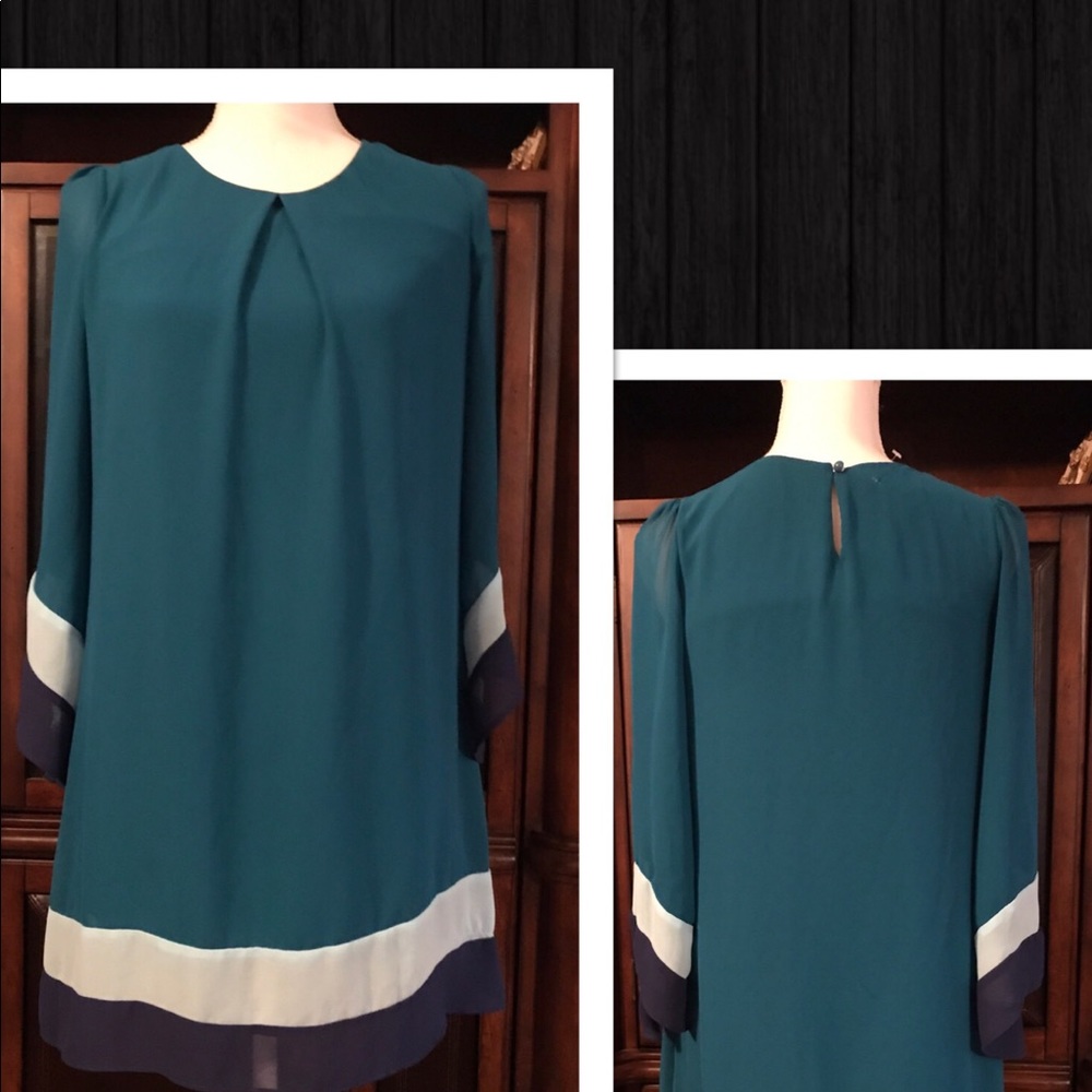 ✨🚨Gorgeous Plus Sz Tunic✨🚨