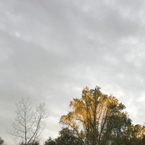 Meet your Posher, Caitlain