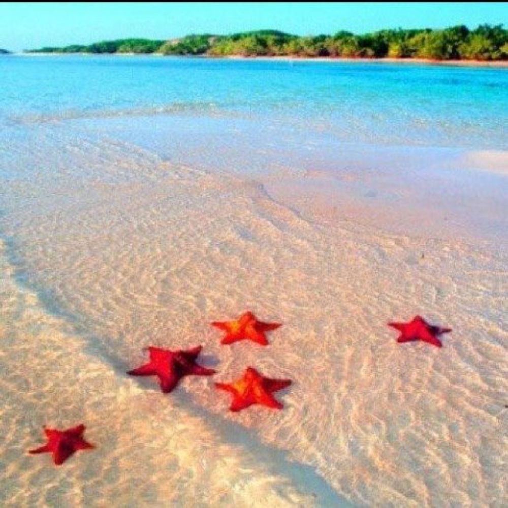 Meet your Posher, Jaqueline