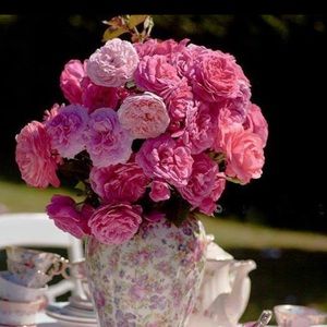 Meet your Posher, Mai-trang