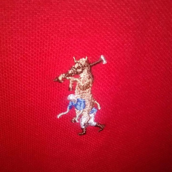 Meet your Posher, Gabriel - Picture 1 of 1