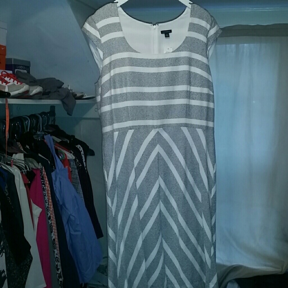 Ann Taylor Winter Black and White Dress