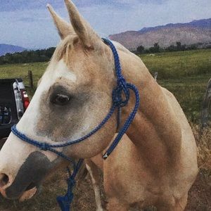 Meet your Posher, Cheyne