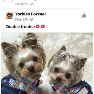 Meet your Posher, Rita