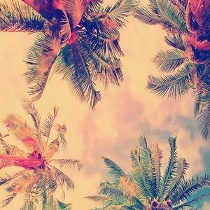 Meet your Posher, Karliyah