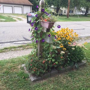 Meet your Posher, Patti