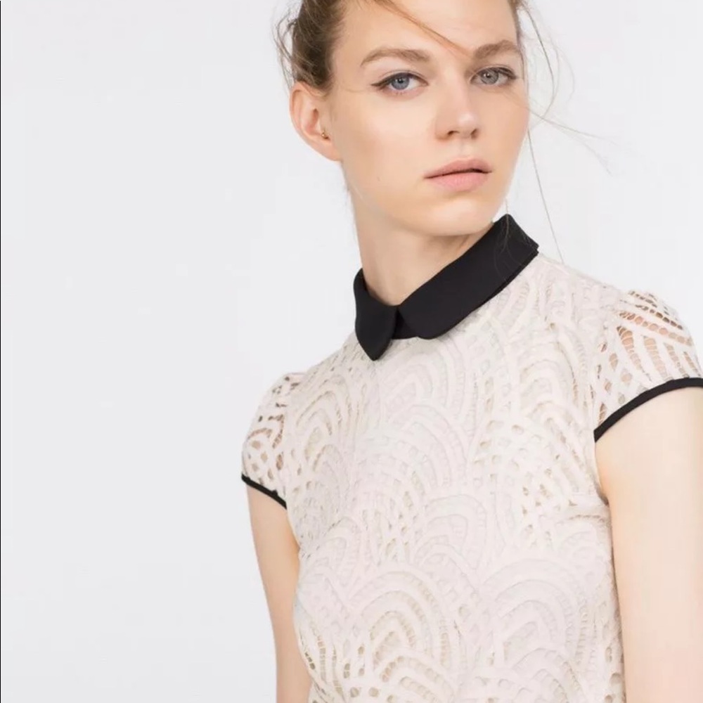 ZARA Peter Pan collar lace dress sz M NWOT
