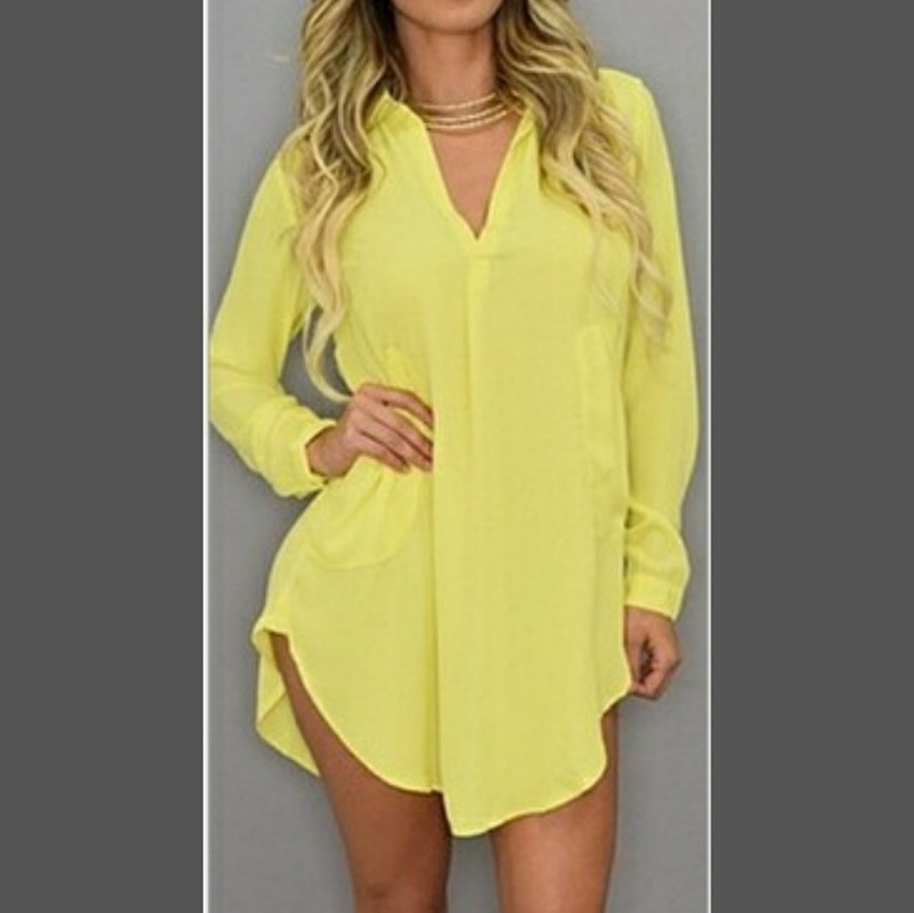 Sheer Shirt Dress