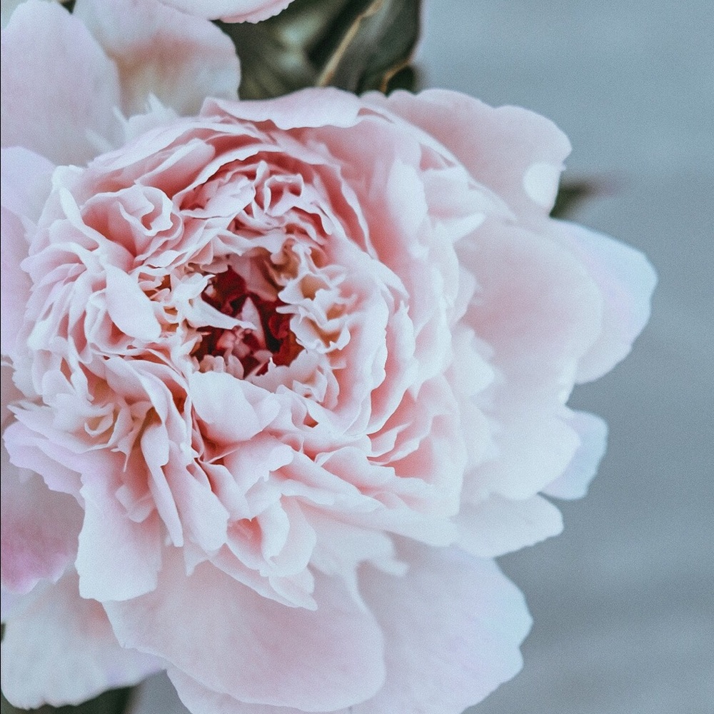 Meet your Posher, Michelle