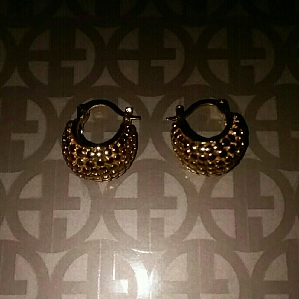 Gold Filled Hoop Earrings