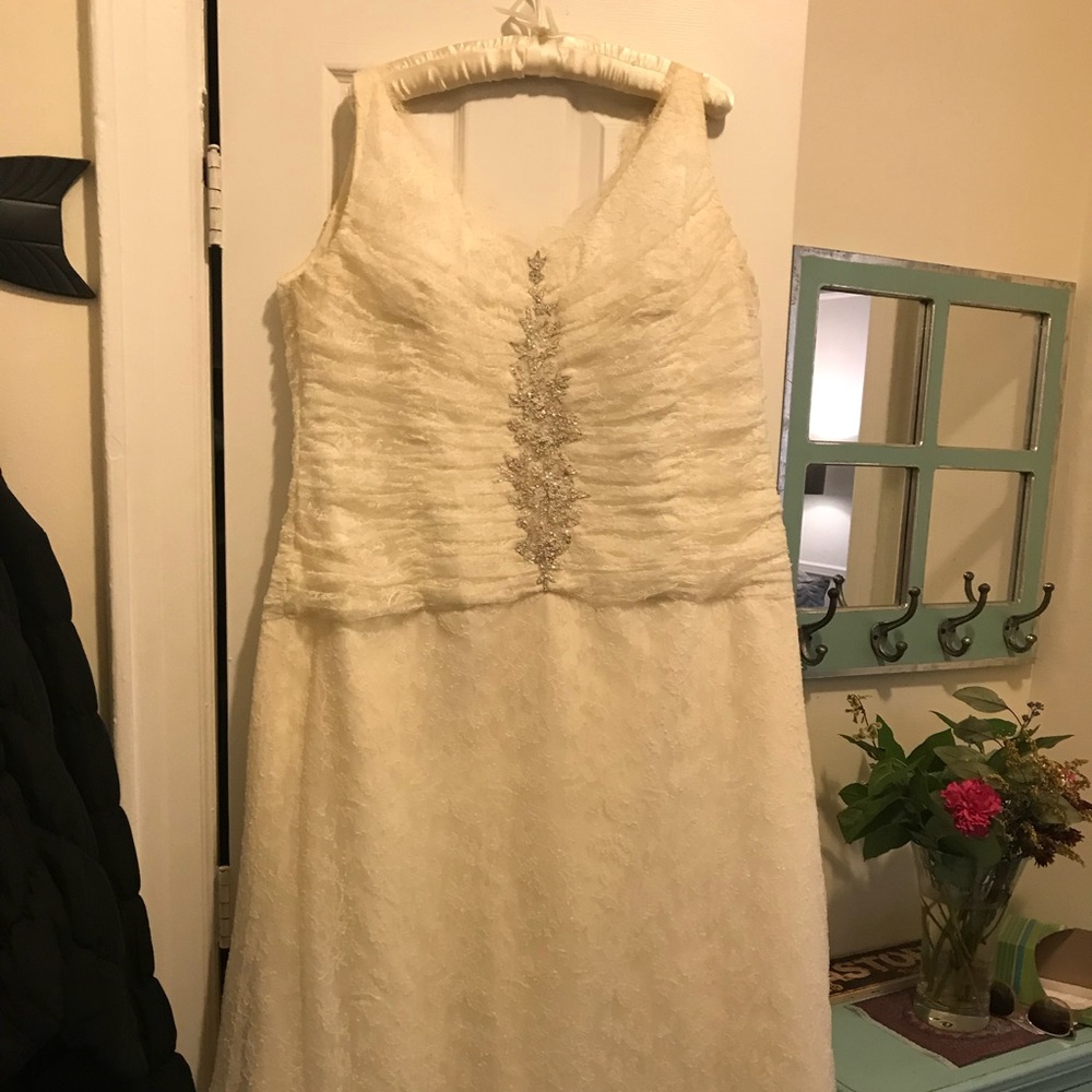 Kleinfeld Amsale wedding dress