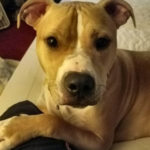 Meet your Posher, Lynn