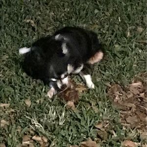 Meet your Posher, Katy