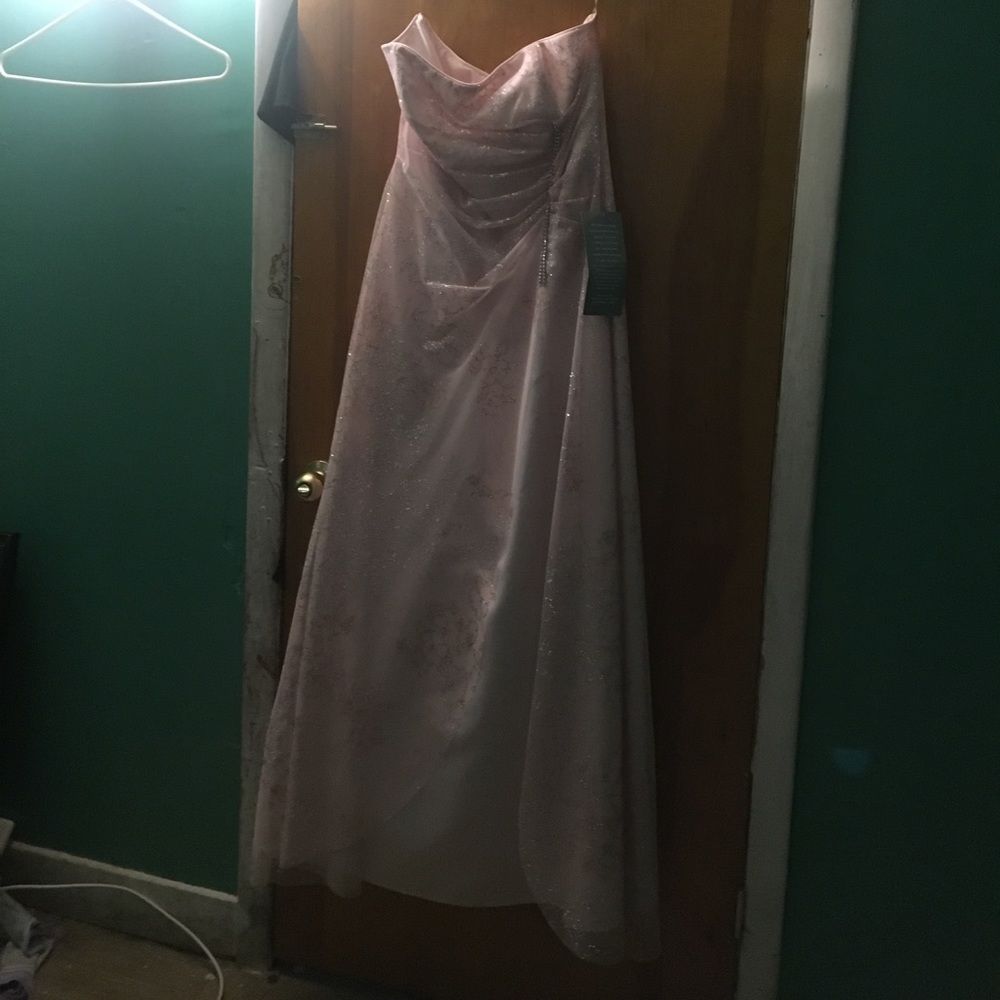 Blush/ silver prom dress
