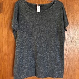 Shimmery The Limited Top