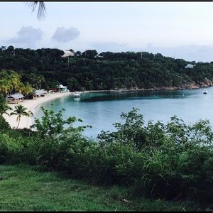 Meet your Posher, Renee