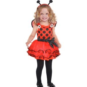 Ladybug Costume