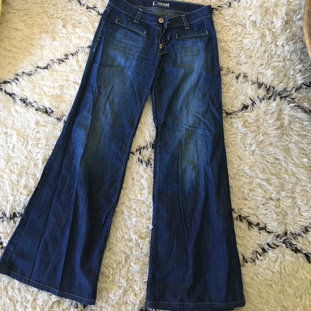 Hudson wide leg jeans