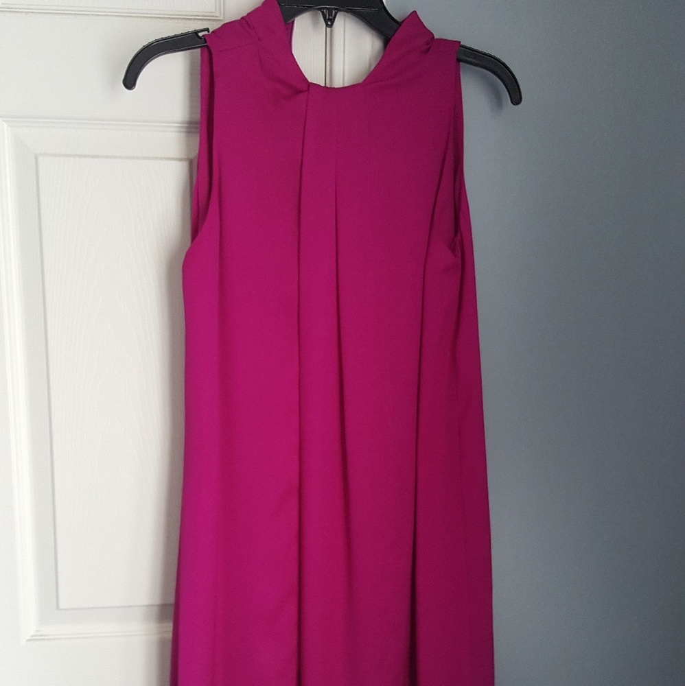 Fuchsia Dress