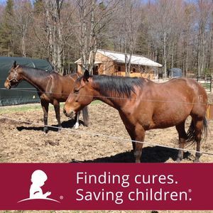 Meet your Posher, Marie