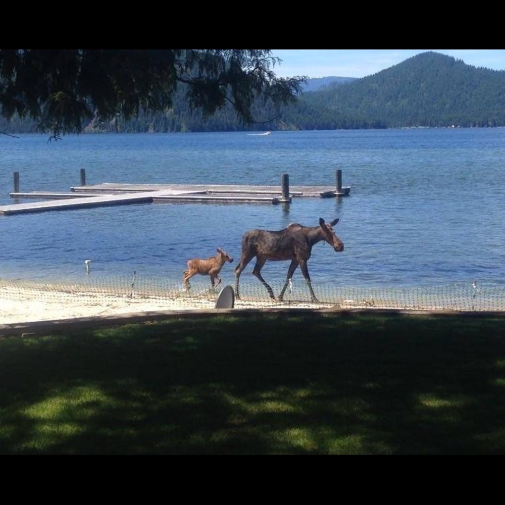 Meet your Posher, Janine