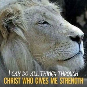 Meet your Posher, Les