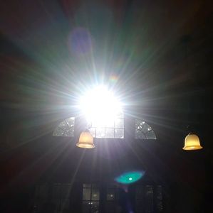 Meet your Posher, Frankie