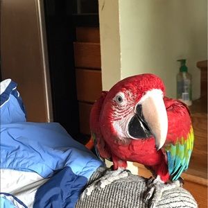 Meet your Posher, Wendy